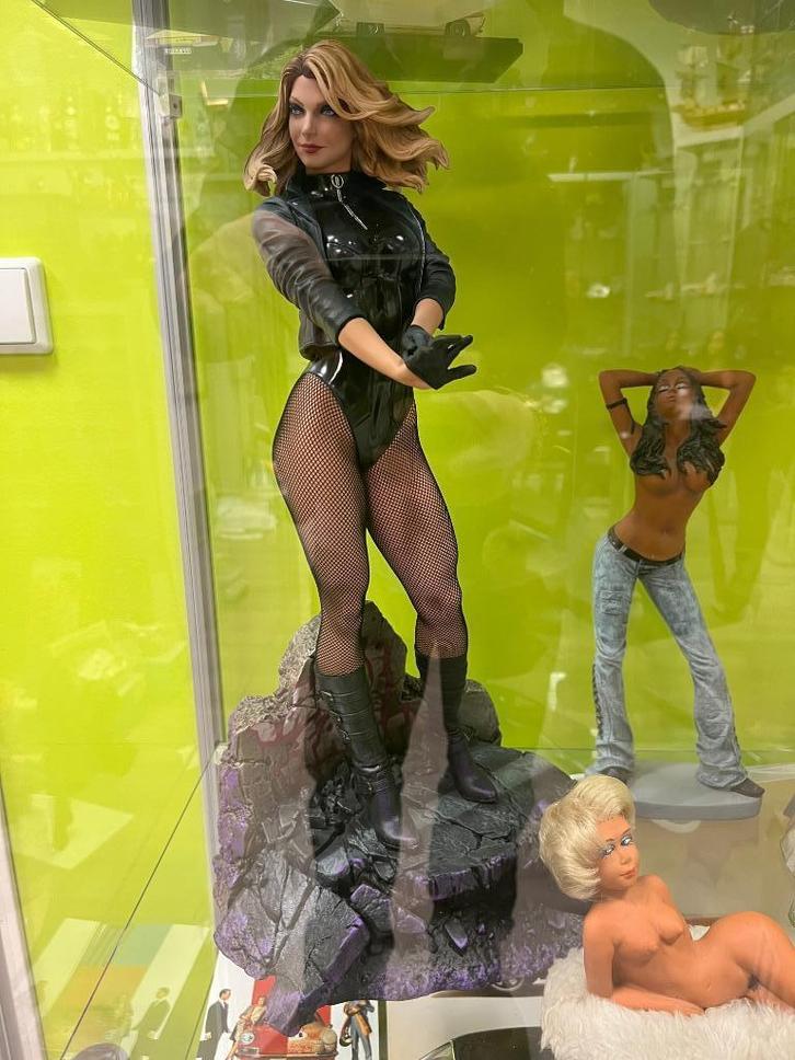 Black Canary, Sideshow statue Limited Edition: 2500 pieces, Verzamelen, Beelden en Beeldjes, Nieuw, Mens, Ophalen of Verzenden