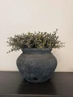 BRYNXZ pot majestic vintage, Huis en Inrichting, Ophalen of Verzenden, Nieuw, Overige kleuren, Minder dan 50 cm