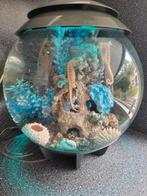 Biorb Halo 30 grijs kompleet ingericht, Ophalen of Verzenden, Zo goed als nieuw, Leeg aquarium