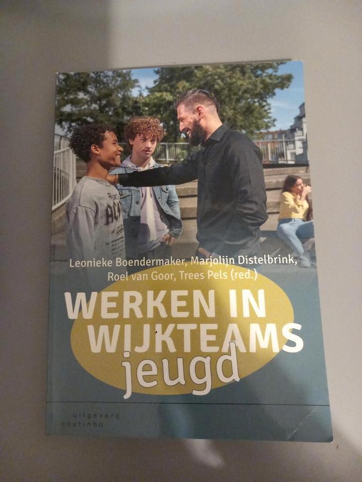 Trees Pels - Werken in wijkteams jeugd, Boeken, Advies, Hulp en Training, Zo goed als nieuw, Ophalen of Verzenden