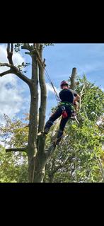 Boomverzorging,kappen,rooien,omzagen, Diensten en Vakmensen, Tuinmannen en Stratenmakers