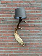 Geweien geweienlamp jacht Veluwe geweien edelhert wandlamp., Ophalen of Verzenden, Gebruikt, Hout