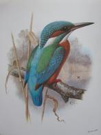 borduurpatroon vogels PERMIN of Copenhagen, Ophalen of Verzenden, Zo goed als nieuw, Handborduren, Patroon