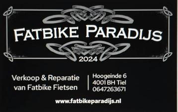 Fatbike kapot dan kunt u hem bij ons repareren !!! beschikbaar voor biedingen