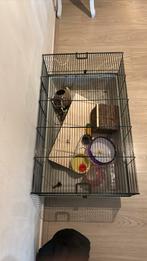 Hamster/cavia kooi, Dieren en Toebehoren, Knaagdieren en Konijnen | Hokken en Kooien, Kooi, Minder dan 60 cm, Gebruikt, Ophalen of Verzenden