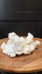 Prachtig stuk ramshoorn seleniet