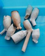 Antieke Kleipijpen koppen en fragmenten, Ophalen of Verzenden