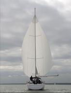 Elvstrøm Sails Blue water genua 126m2, Watersport en Boten, Ophalen, 6 meter of meer, Zo goed als nieuw, Genua of Fok