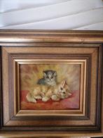 Oud katten schilderij olieverf op paneel gesigneerd, Ophalen of Verzenden