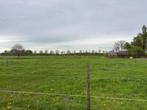 Ruim weiland met schuilstal te huur voor 1 pony, Weidegang, 1 paard of pony
