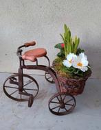 Te koop decoratie fietsje met narcissen en primula’s, Ophalen, Overige soorten, Volle zon