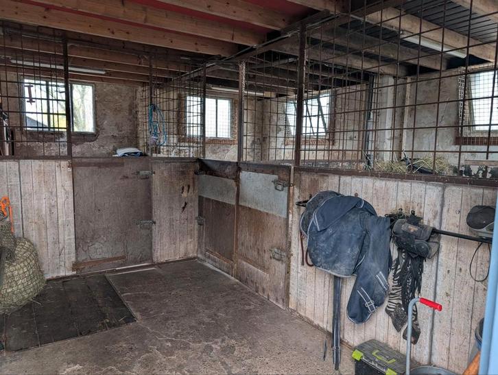 Doe het zelf stal Hoevelaken, Dieren en Toebehoren, Stalling en Weidegang, Stalling, Weidegang, 1 paard of pony