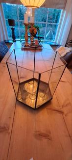 Aquariumbak 30cm x 30cm, Dieren en Toebehoren, Ophalen of Verzenden, Nieuw, Plant(en), Steen of Hout