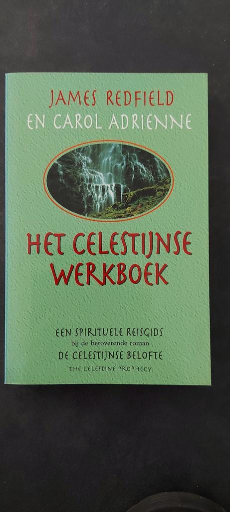 Het Celestijnse Werkboek - Redfield & Adrienne, Boeken, Esoterie en Spiritualiteit, Gelezen, Instructieboek, Spiritualiteit algemeen
