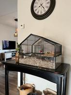 Hamsterkooi met toebehoren, Dieren en Toebehoren, Kooi, Minder dan 75 cm, Hamster, Ophalen