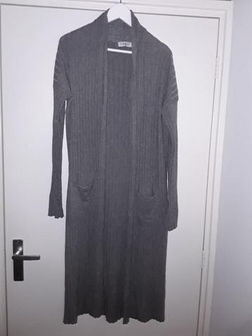 Transfer Grijs Lang Vest Maat 3 = Maat M/L beschikbaar voor biedingen