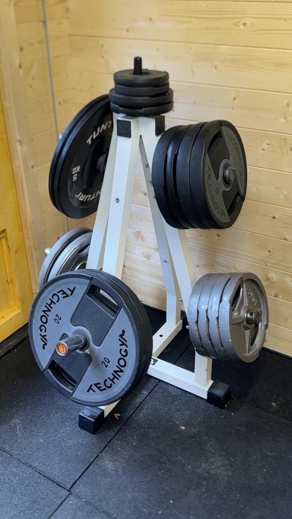 Complete Technogym/Helisports halterschijven set + standaard, Sport en Fitness, Fitnessmaterialen, Zo goed als nieuw, Ophalen