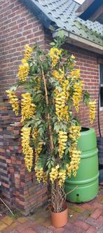 Kunstplant, Tuin en Terras, Planten | Bomen, Ophalen, Volle zon, Overige soorten, 100 tot 250 cm