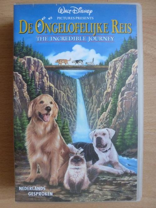 Videoband - De ongelofelijke reis Incredible journey Disney, Cd's en Dvd's, VHS | Kinderen en Jeugd, Zo goed als nieuw, Kinderprogramma's en -films