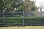 Dubbelstaafmatten 183x200cm Ral6005/ Ral6009/ Ral7016, Tuin en Terras, Gaas en Draad, Ophalen, Zo goed als nieuw, Minder dan 10 meter