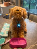 Mojji Robot Hond – kan praten en reageren, Ophalen of Verzenden, Zo goed als nieuw