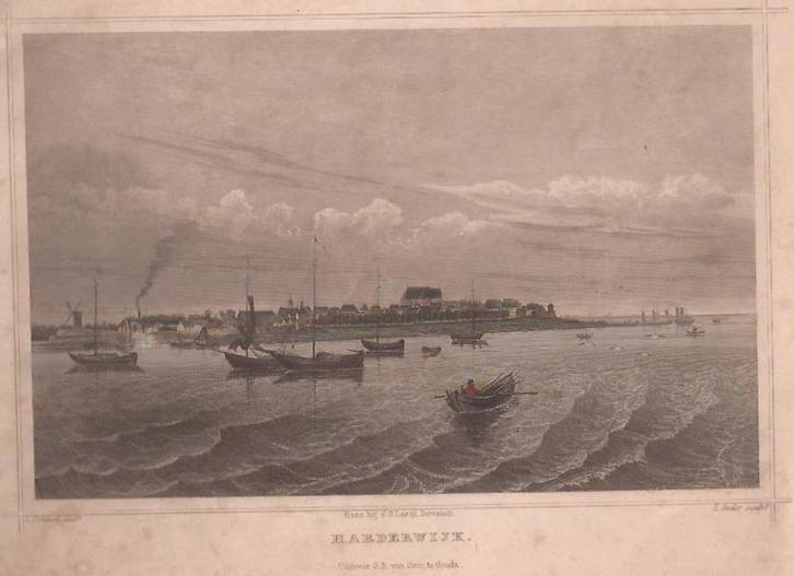 Harderwijk. Staalgravure. Ca. 1860 Terwen, Antiek en Kunst, Kunst | Etsen en Gravures, Ophalen of Verzenden