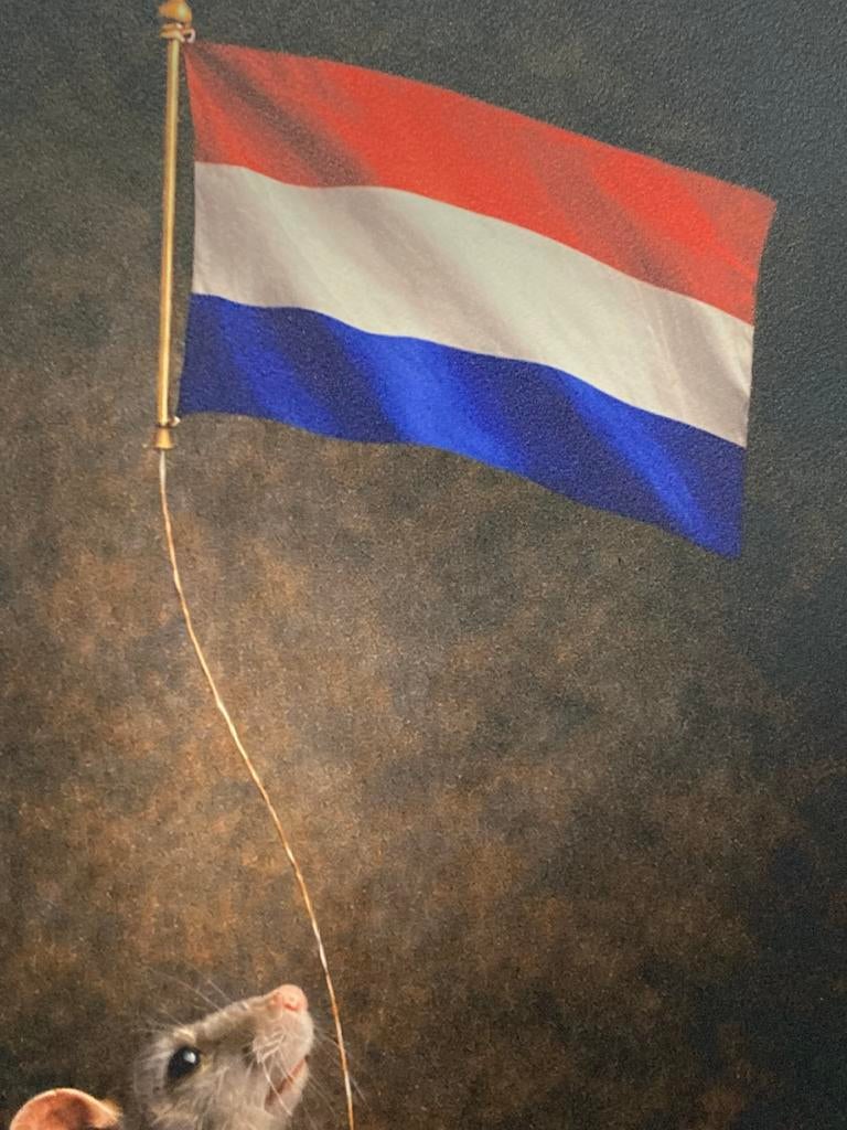 ArtRat : Ingelijste print. Inclusief certificaat., Ophalen of Verzenden