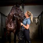 Instructie & Training aangeboden!, Diensten en Vakmensen, Dieren | Paarden | Verzorging, Oppas en Les, Gedragstraining