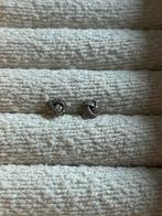 Pandora oorbel, Sieraden, Tassen en Uiterlijk, Bedels, Ophalen of Verzenden, Zo goed als nieuw, Zilver, Pandora