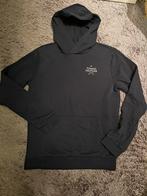 Hoodie Tommy Hilfiger 176, Kinderen en Baby's, Kinderkleding | Maat 176, Ophalen of Verzenden, Zo goed als nieuw, Jongen, Trui of Vest