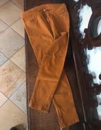 Amusi okergele broek - Maat 42, Kleding | Dames, Ophalen of Verzenden, Zo goed als nieuw, Maat 42/44 (L), Geel