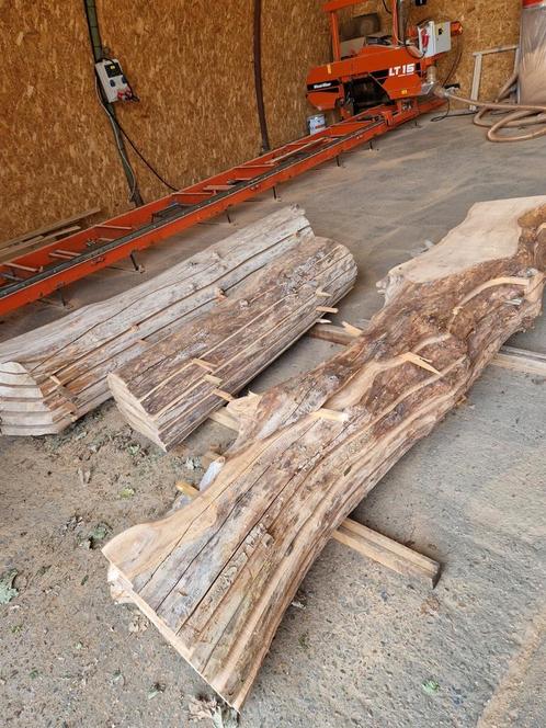 Schaaldelen Iep, Doe-het-zelf en Verbouw, Hout en Planken, Nieuw, Plank, Overige houtsoorten, 200 tot 250 cm, 50 mm of meer, Ophalen of Verzenden