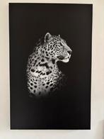 Groot canvas panter, Huis en Inrichting, Ophalen, Gebruikt, 125 cm of meer, Schilderij