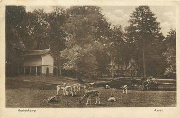 (701-200-023) Assen Hertenkamp beschikbaar voor biedingen