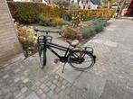 Cortina U4 Transport - jongensfiets 24 inch, Ophalen, Versnellingen, Cortina, Gebruikt