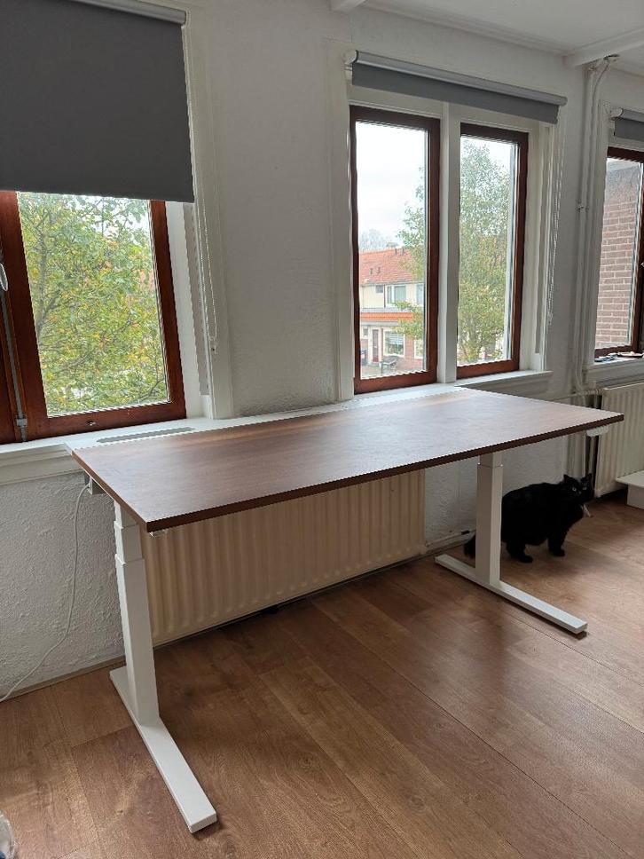 Electric sit/stand desk walnut/white 160X80 - MITTZON, Huis en Inrichting, Bureaus, Zo goed als nieuw, Bureau, Elektrisch, In hoogte verstelbaar