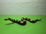 Schleich 14163 boa constrictor, dierfiguur, Ophalen of Verzenden, Gebruikt, Reptiel of Amfibie, Beeldje of Figuurtje