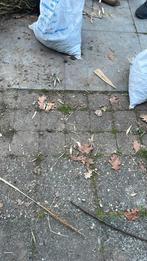 Klinkers 15x15 cm, Tuin en Terras, Ophalen of Verzenden, Gebruikt, Beton, Klinkers