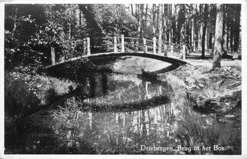 (388-416-033) Driebergen-Rijsenburg Brug in het Bos beschikbaar voor biedingen