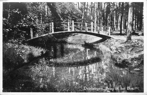 (388-416-033) Driebergen-Rijsenburg Brug in het Bos, Verzamelen, Ansichtkaarten | Nederland, Utrecht, Verzenden