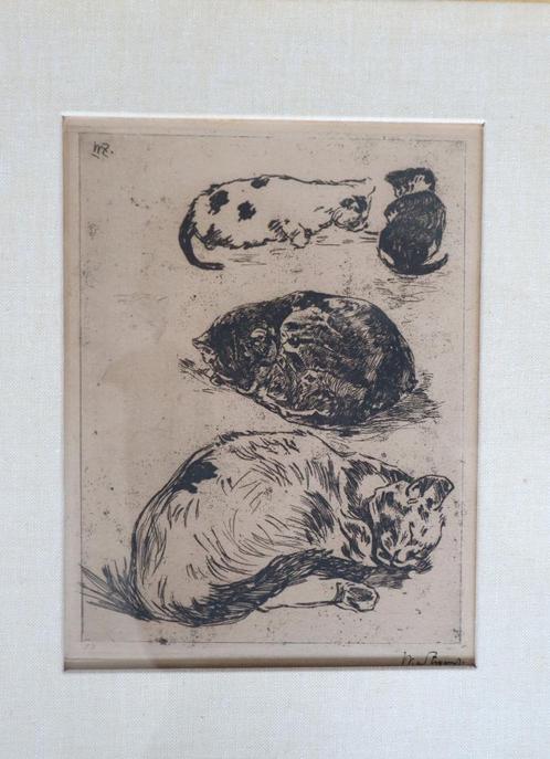 Ets poezen, Willem de Zwart 1862-1931, Antiek en Kunst, Kunst | Etsen en Gravures, Ophalen of Verzenden