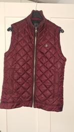 body warmer bordeaux rood G-star, Maat 48/50 (M), G-STAR, Ophalen of Verzenden, Zo goed als nieuw