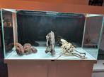 Aquarium 200L €120 vandaag ophalen!!!!, Dieren en Toebehoren, Ophalen, Gebruikt, Leeg aquarium