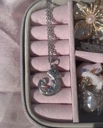 Prachtige zilverkleurige kameleon ketting met hanger beschikbaar voor biedingen