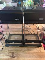 2 Exo terra terraium 20x20x30 met lichtkap, Dieren en Toebehoren, Reptielen en Amfibieën | Toebehoren, Ophalen, Zo goed als nieuw