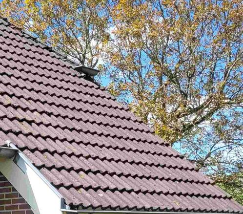+/- 150 stuks Sneldekpannen - Teewen - Herfstkleur, Doe-het-zelf en Verbouw, Dakpannen en Dakbedekking, Gebruikt, Dakpannen, Steen of Klei