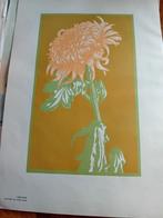 Chrysant lino snede van frans bosen1935, Antiek en Kunst, Kunst | Litho's en Zeefdrukken, Ophalen of Verzenden