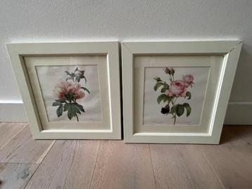 2 x oude litho's rozen / roos . P.J. Redoute. Ingelijst 1939 beschikbaar voor biedingen