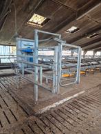 Dairymaster krachtvoerbox, Dieren en Toebehoren