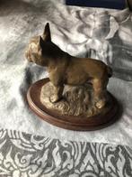 3 franse bulldoggen beeld in koud gegoten brons in 1 koop, Ophalen of Verzenden, Zo goed als nieuw, Beeldje of Figuurtje, Hond of Kat